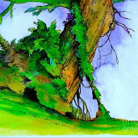 aira's logotypes: tree vines